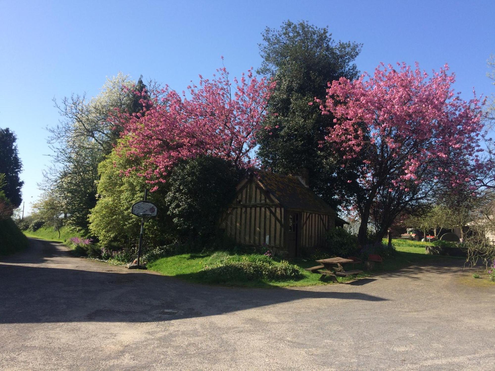 Ferme De La Gortiere Bed & Breakfast Le Teilleul Exterior photo